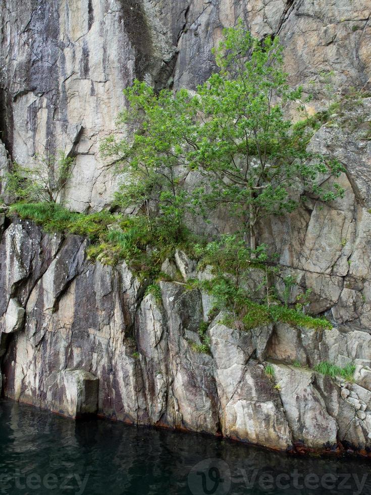 the beauty of norway photo
