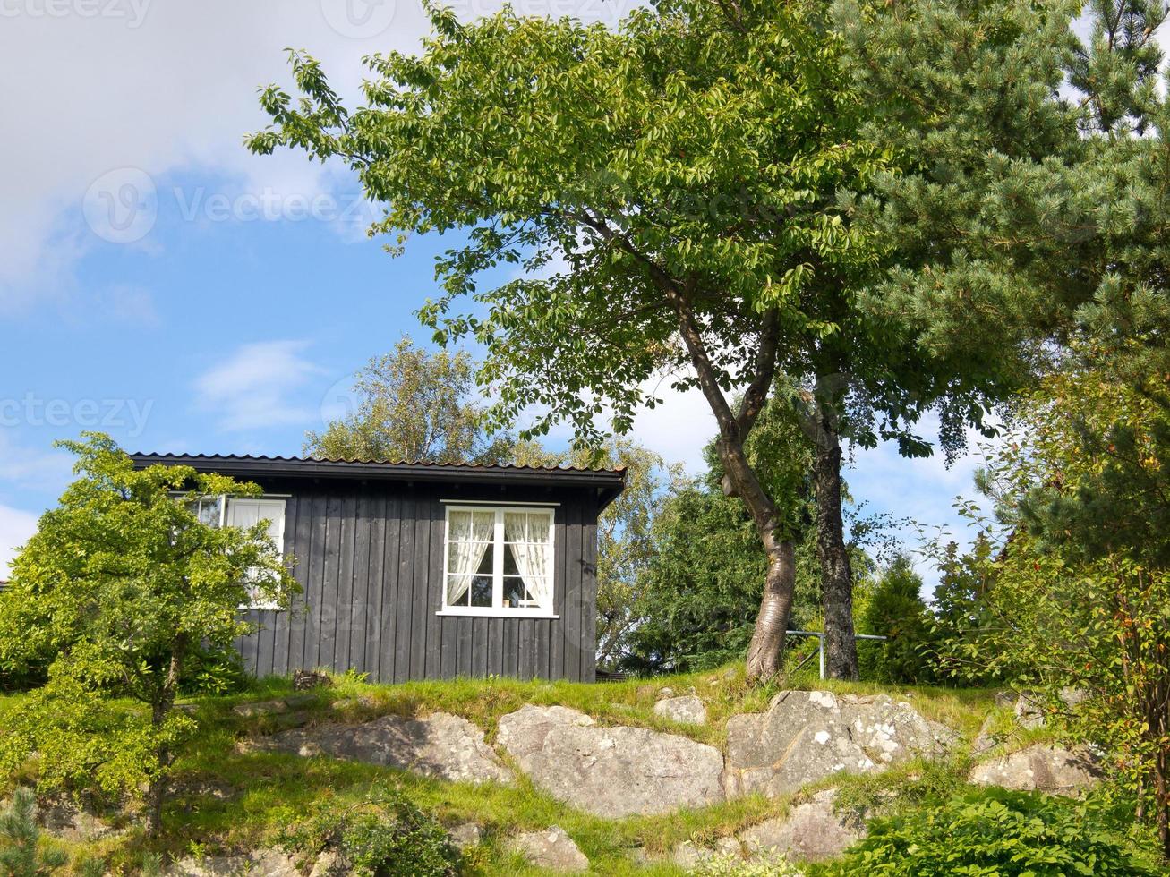 los fiordos de noruega foto