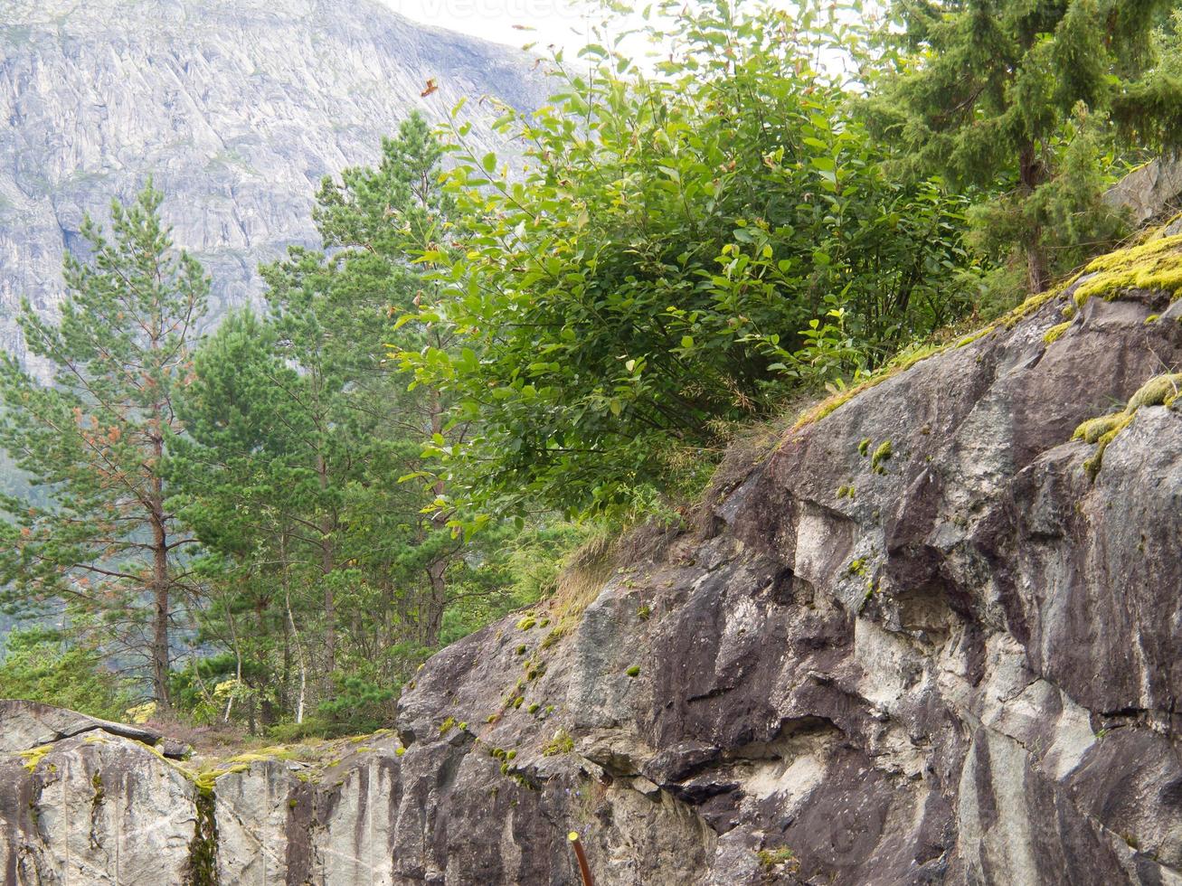 in the norwegian fjords 17093270 Stock Photo at Vecteezy