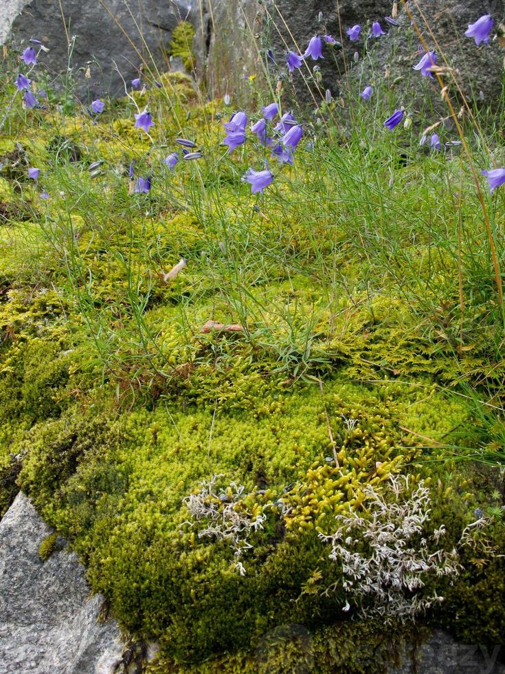 in the norwegian fjords 17093272 Stock Photo at Vecteezy