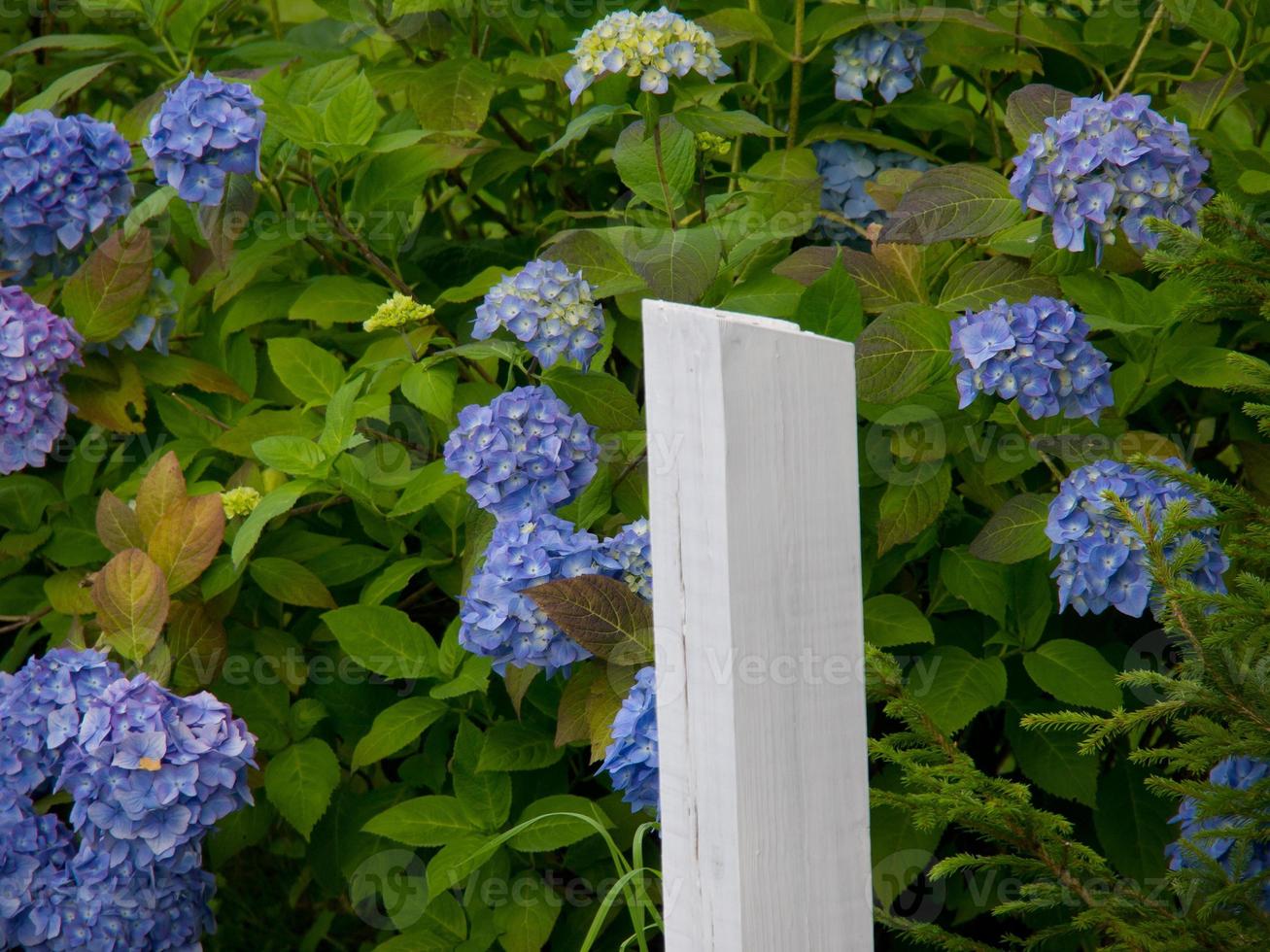 in the norwegian fjords 17093278 Stock Photo at Vecteezy