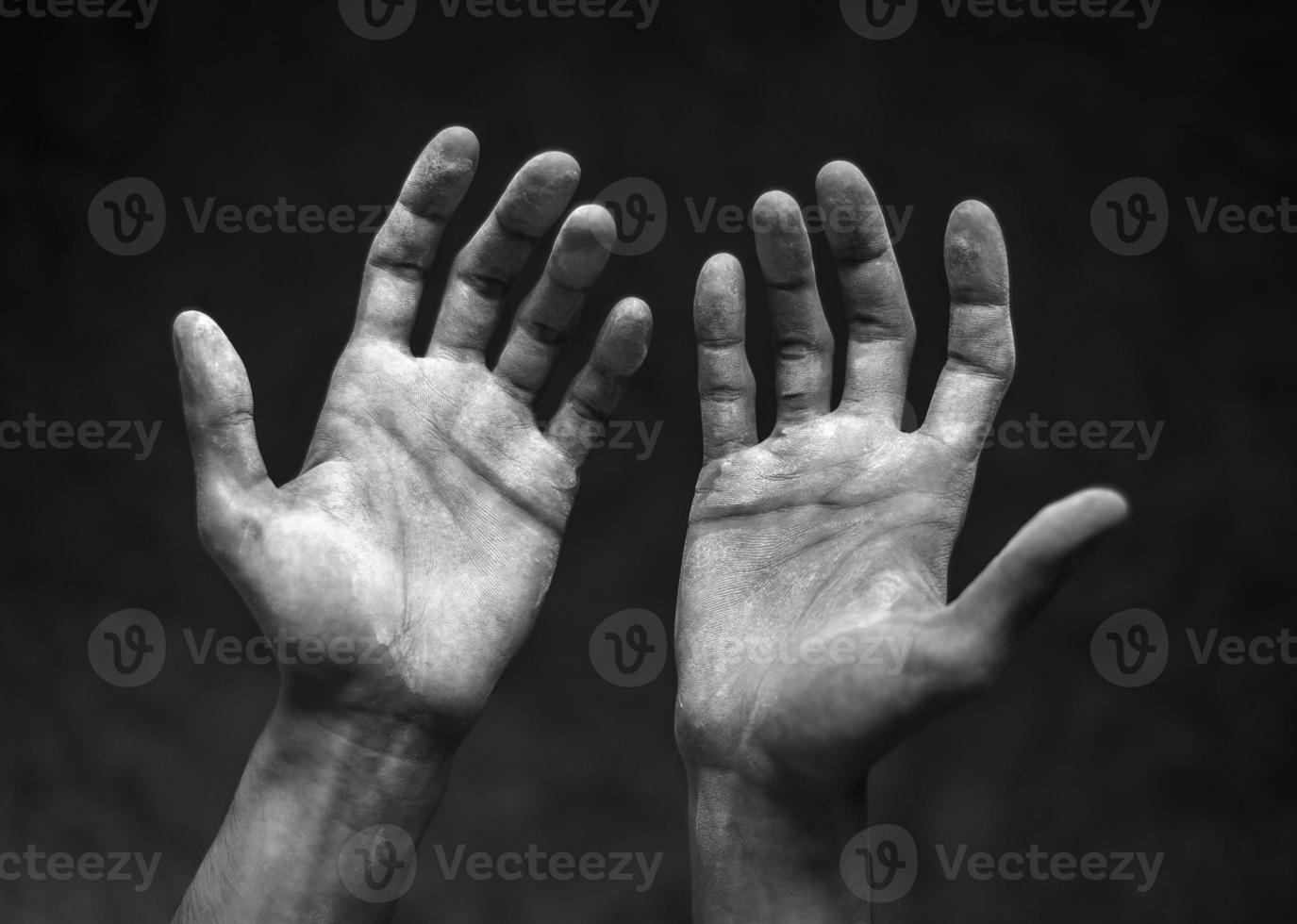 White male palms, Builder photo