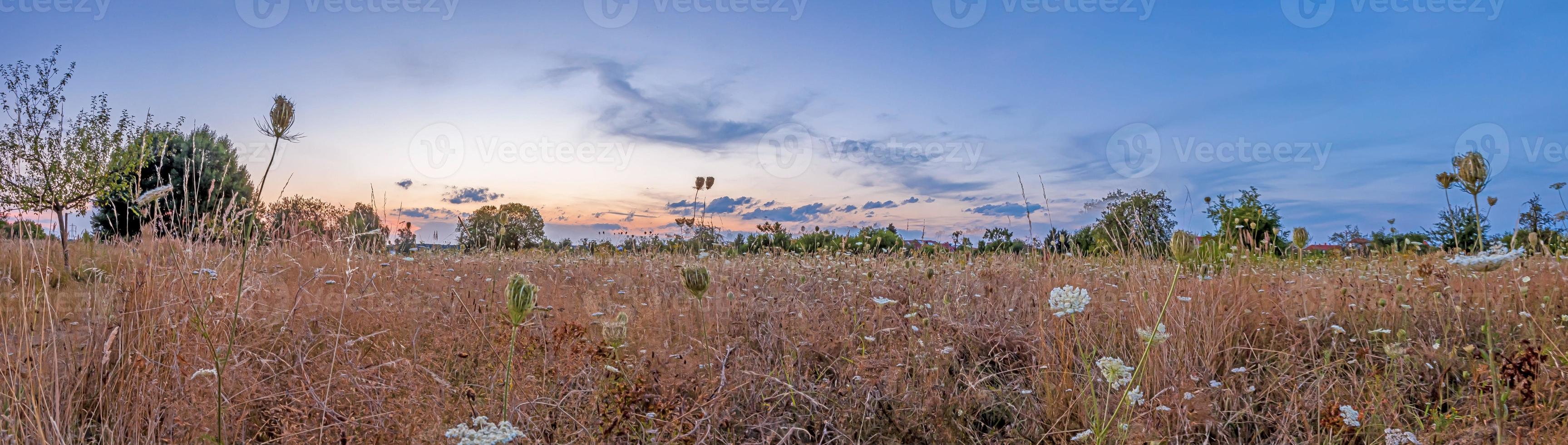 Panoramic view over meadow orchard in autumn in Germany photo