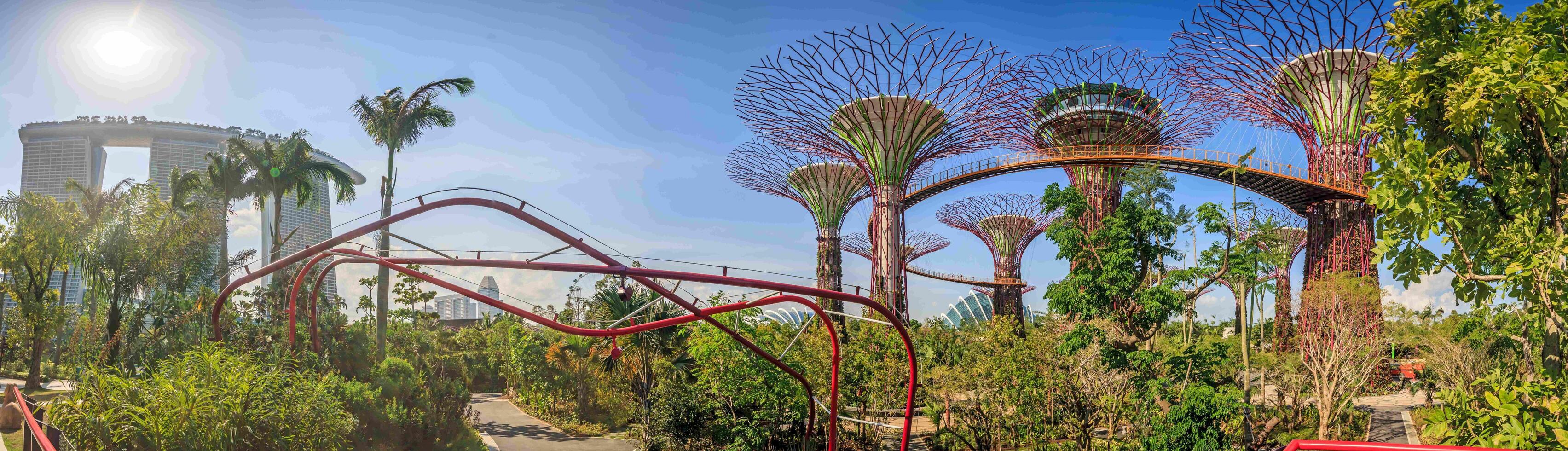 Panoramic view over Park Gardens by the Bay in Singapore with clear sky photo