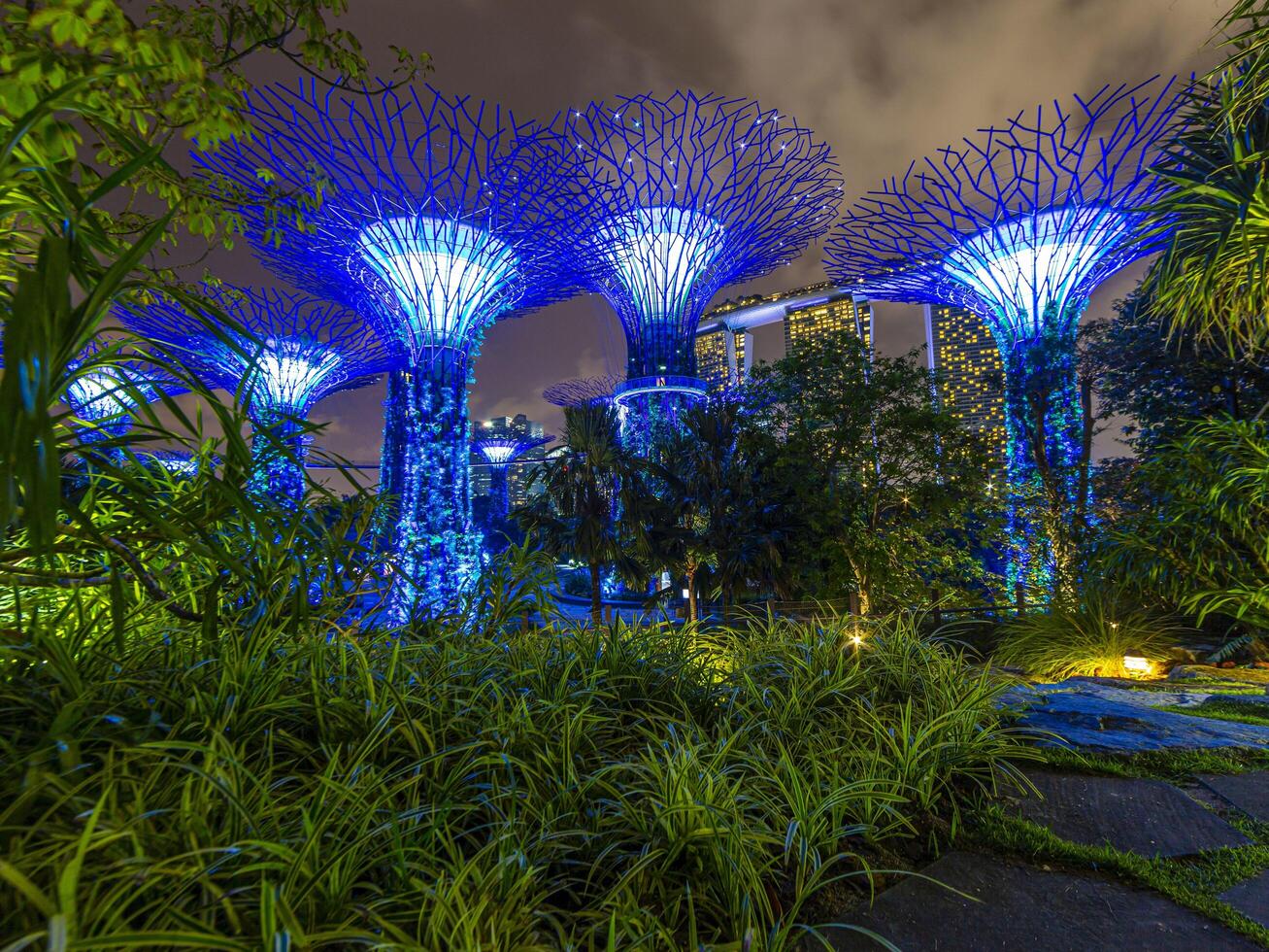 Picture of Gardens by the bay park in Singapore during nighttime in September photo