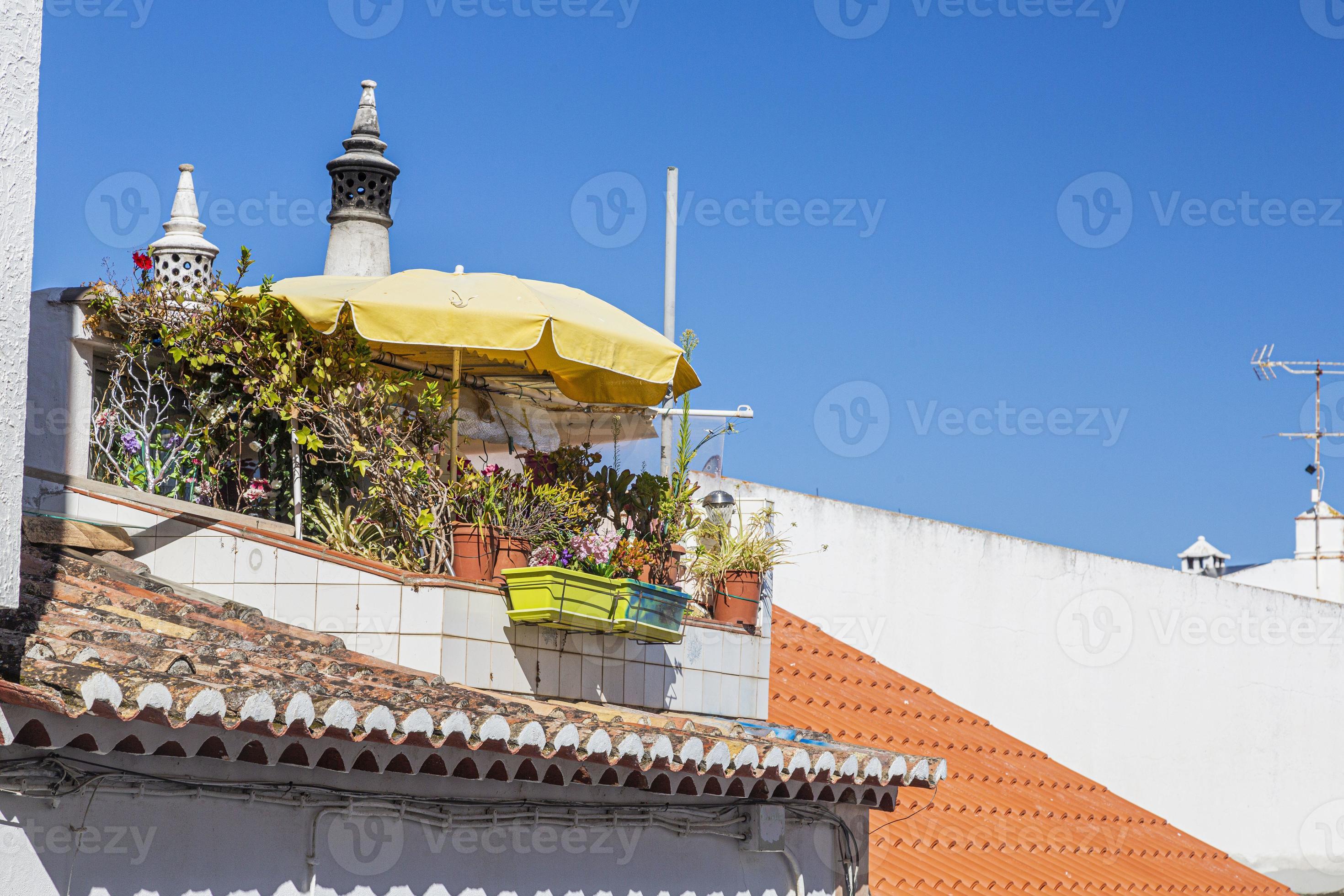 Small terrace garden with lots of plants and flowers in Lagos 17095363