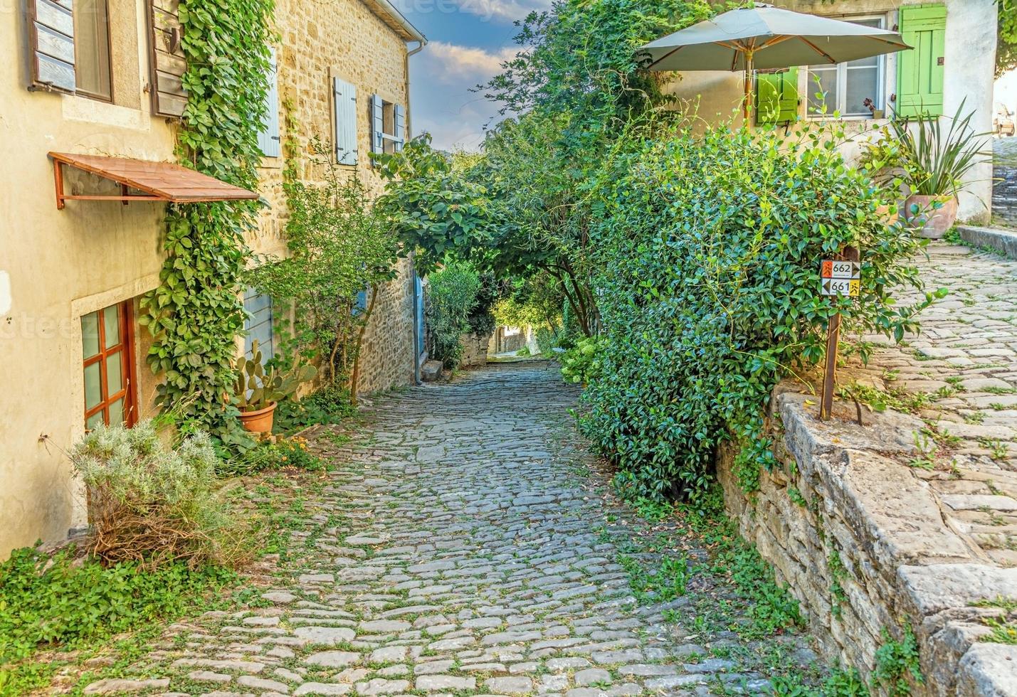 Picture of a romantic cobblestone street overgrown with trees and leaves in the medieval town of Motovun in central Istria during the day photo