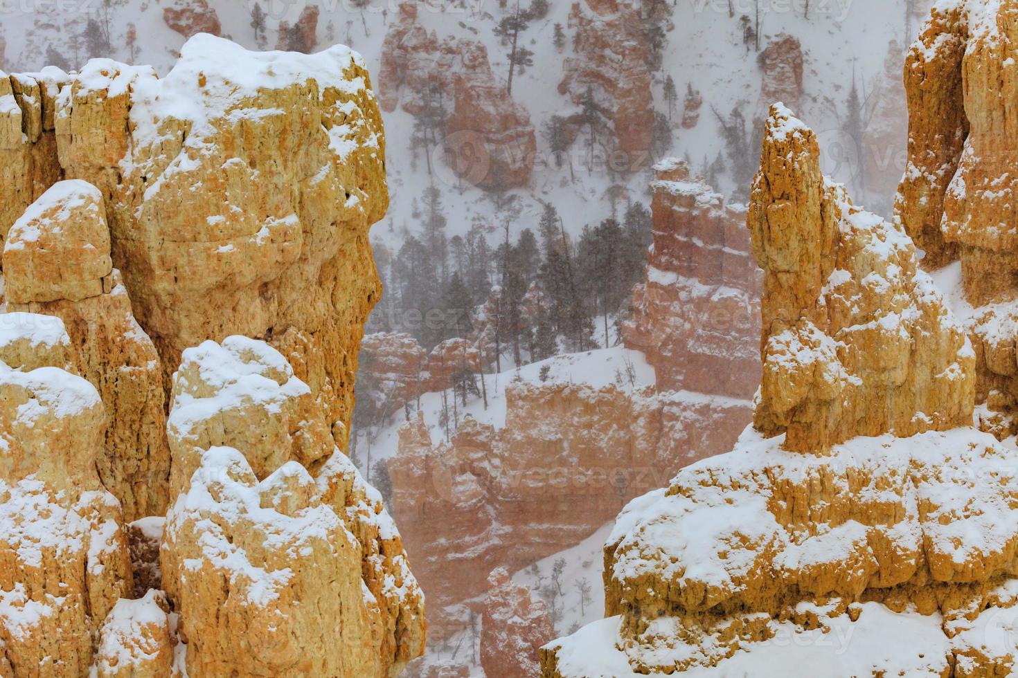 Snow-covered rock pins in Bryce Canyon photo