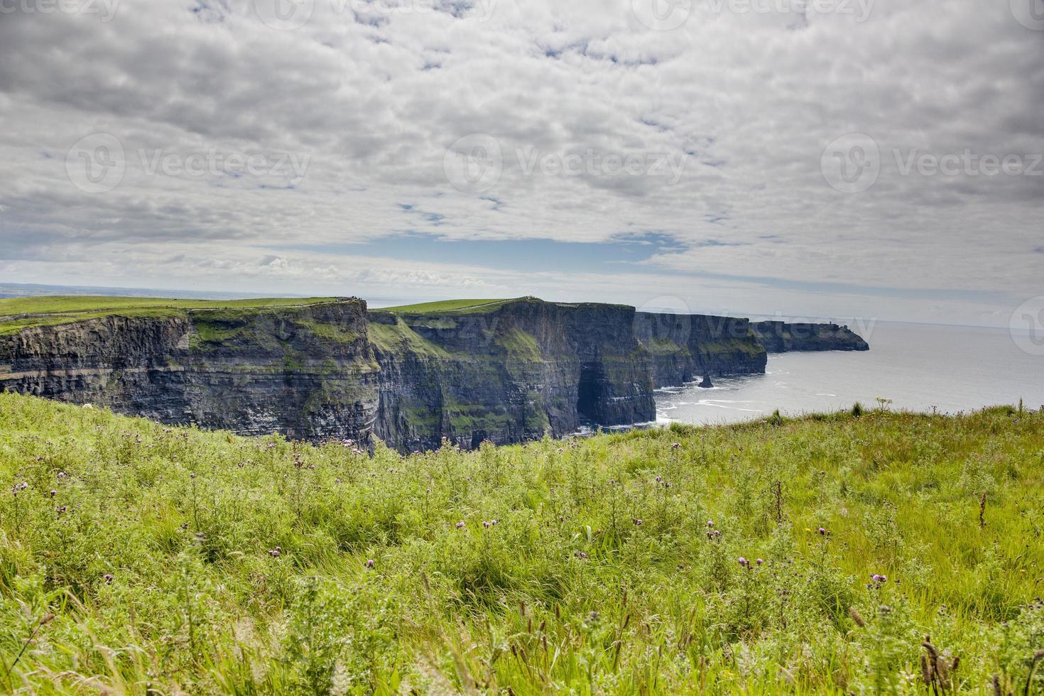 Panoramic picture of the Cliffs of Moher in South West Ireland during daytime in summer photo