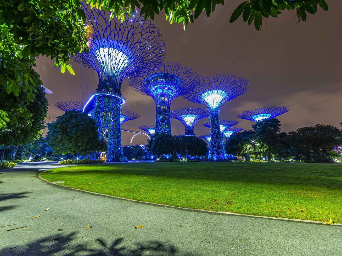 imagen de jardines junto al parque de la bahía en singapur durante la noche en septiembre foto