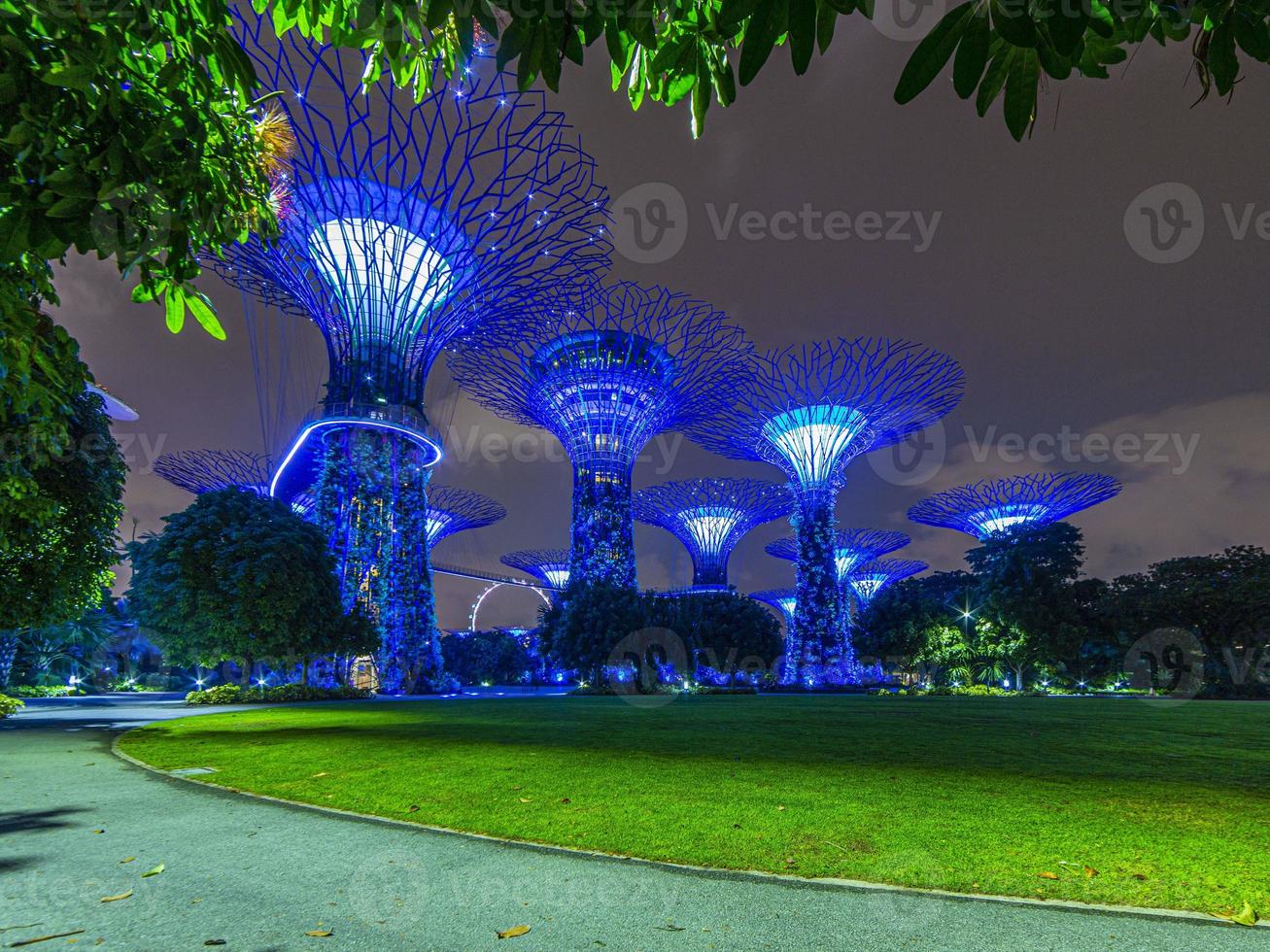 Picture of Gardens by the bay park in Singapore during nighttime in September photo
