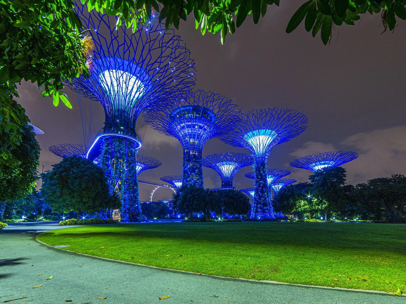 imagen de jardines junto al parque de la bahía en singapur durante la noche en septiembre foto