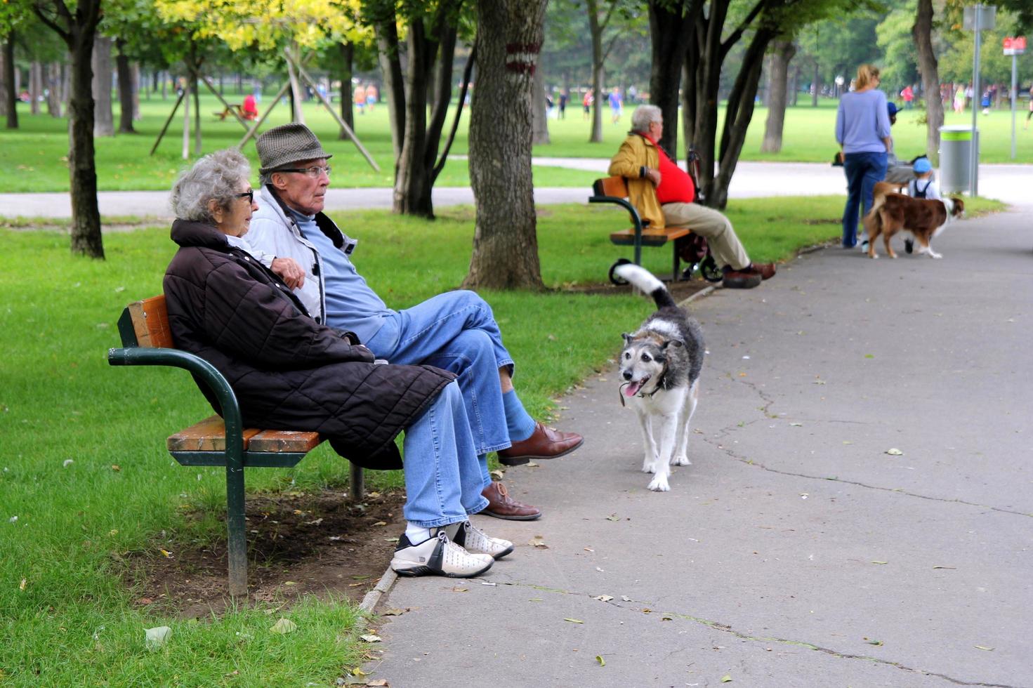 VIENNA, AUSTRIA - AUGUST 31, 2014. View on a park with elderly people sitting on a bench and walking dogs. photo