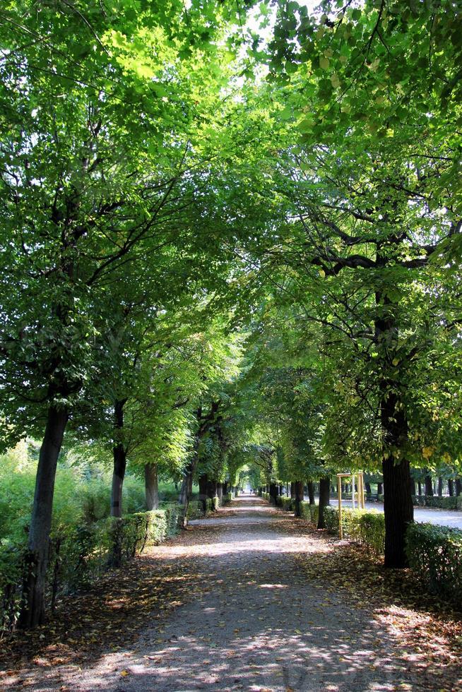 Travel to Vienna, Austria. The view on the park with big trees and a road in the autumn sunny day. photo