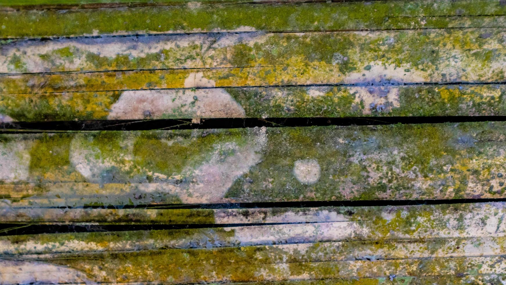 mossy bamboo wall texture as a background photo