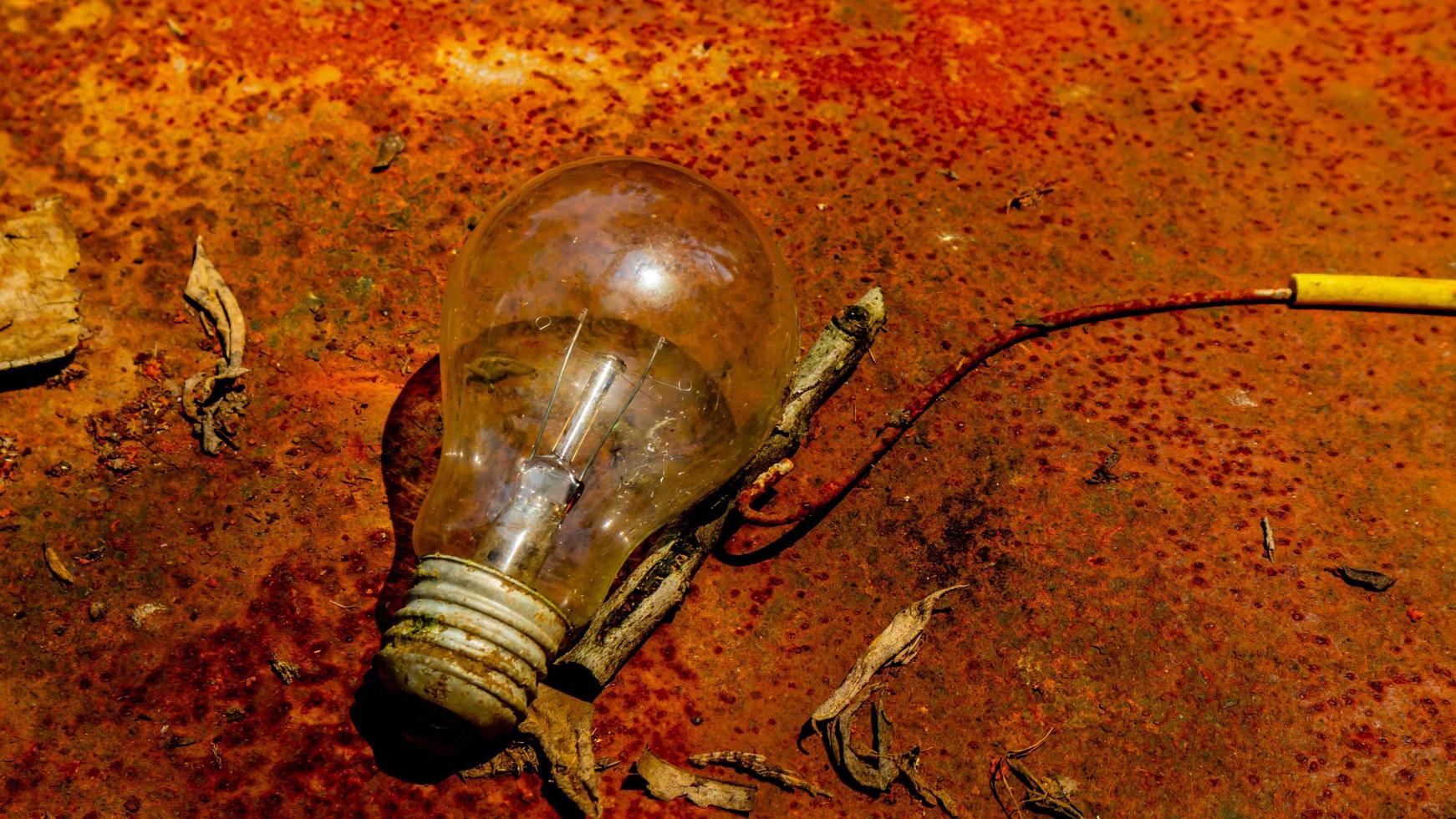 Light bulb on rusty zinc as a background photo
