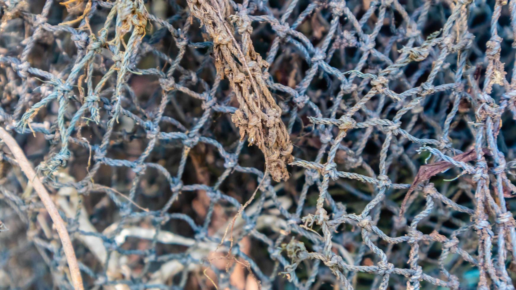 fish mesh texture as background photo