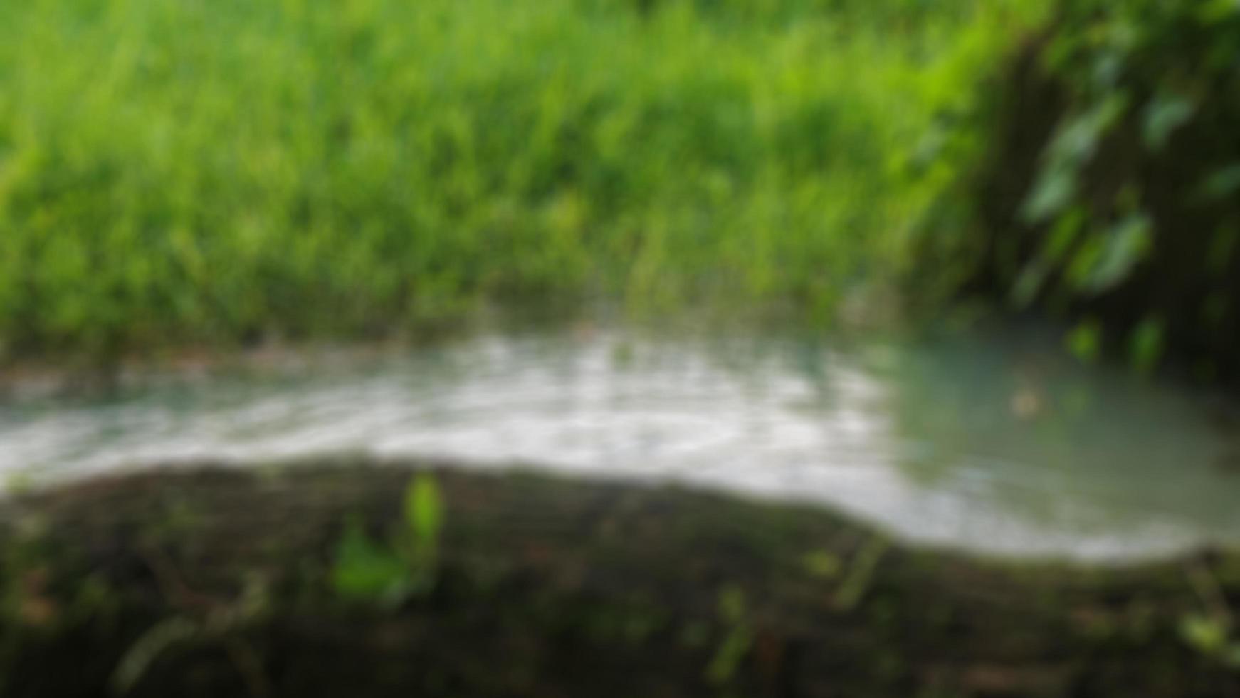 wavy water with bark as background photo