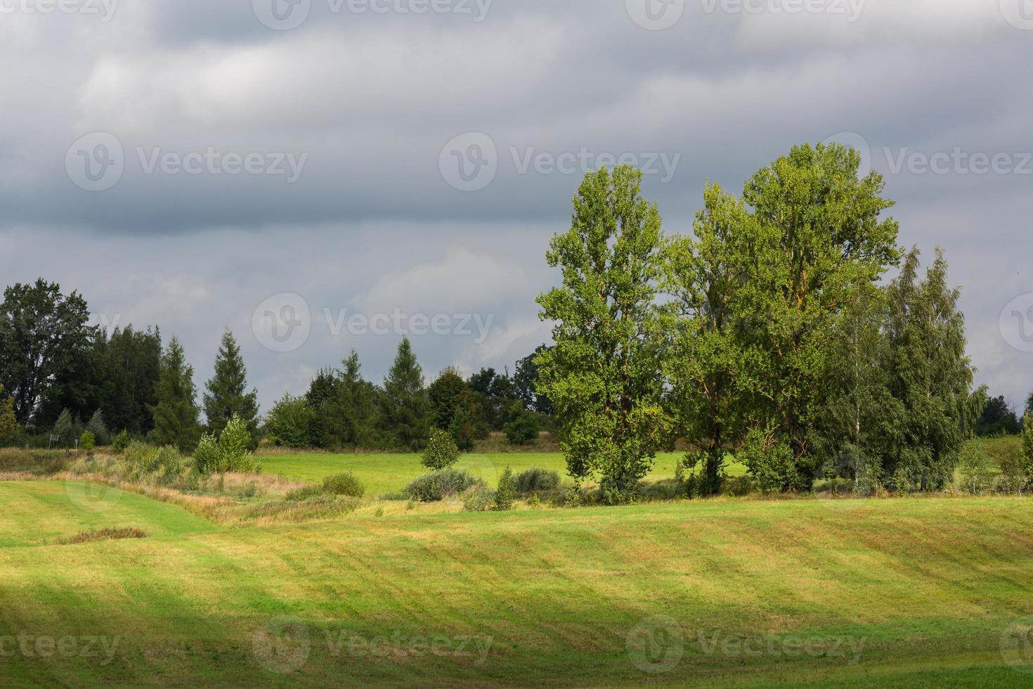 Latvian summer landscapes with clouds photo