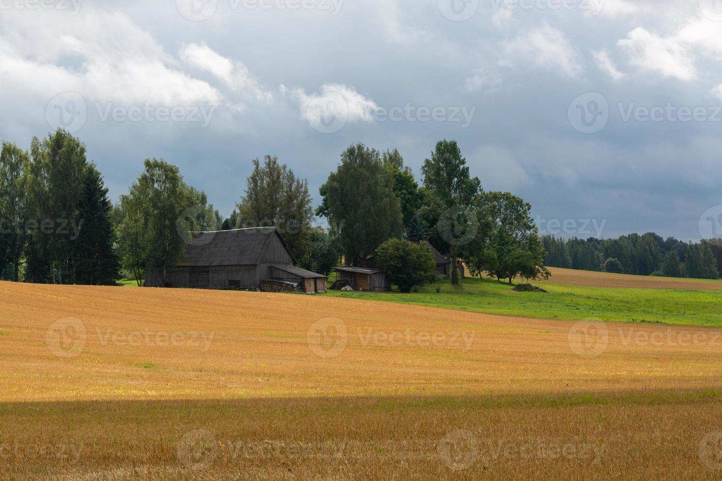 paisajes letones de verano con nubes foto