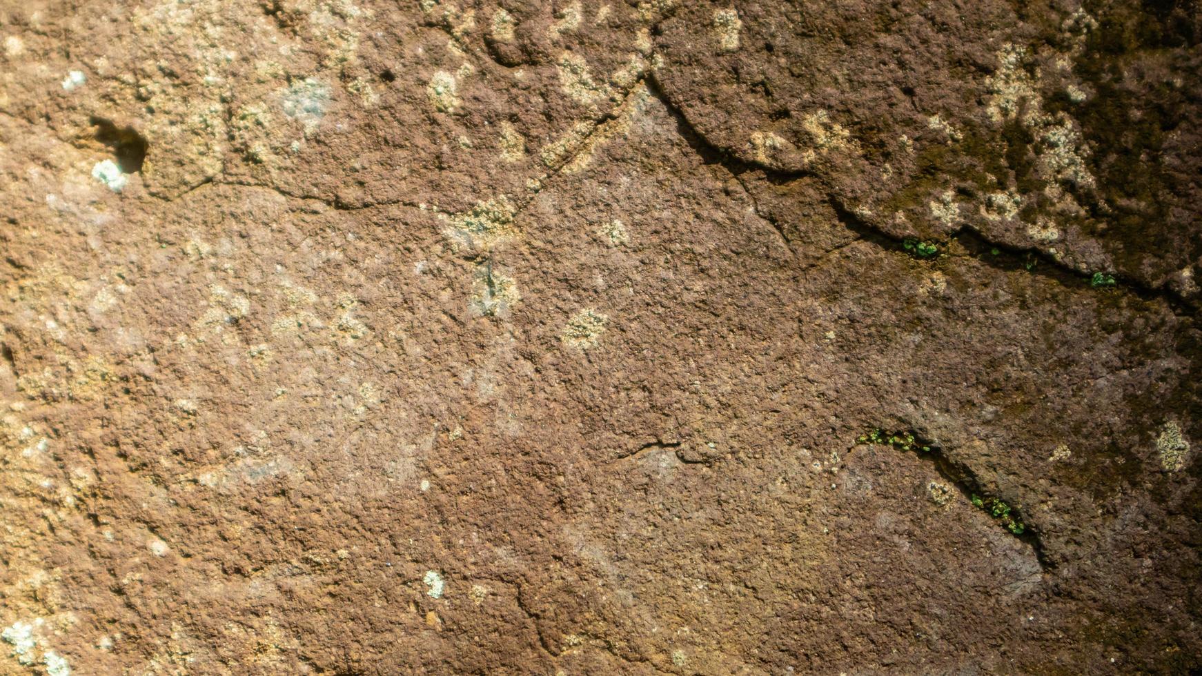 amazing rock texture as a background photo