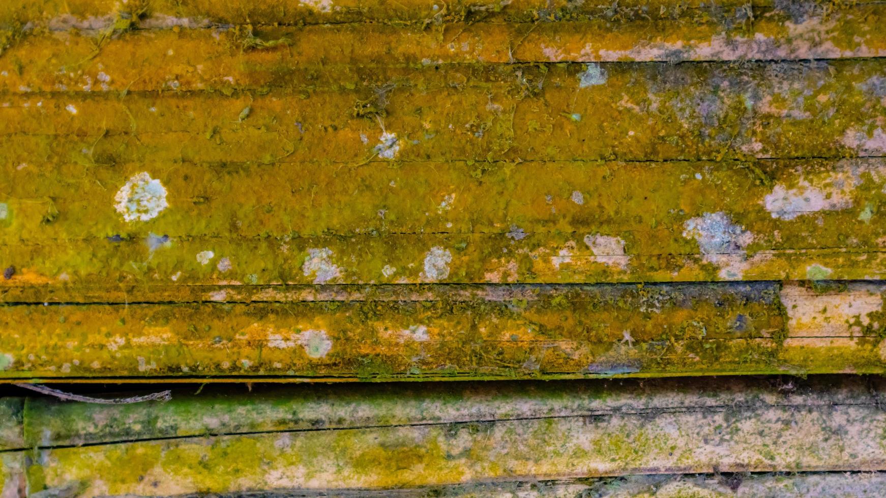 mossy bamboo wall texture as a background photo