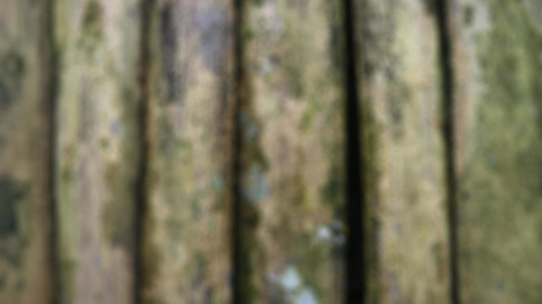 mossy bamboo fence as a backdrop photo