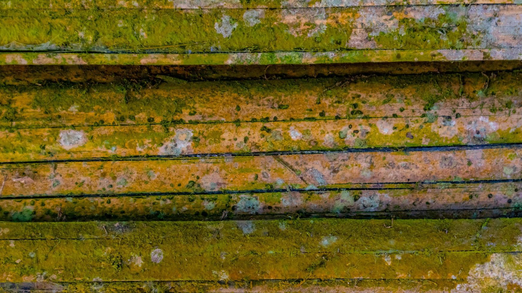 mossy bamboo wall texture as a background photo