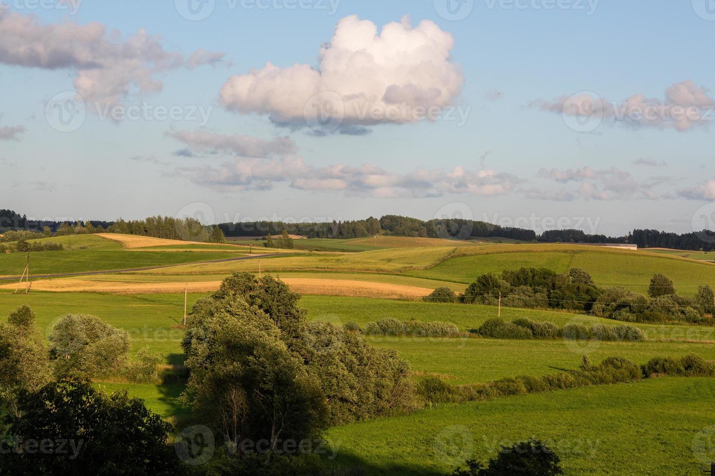 Lake Landscapes of Latvia in Summer photo