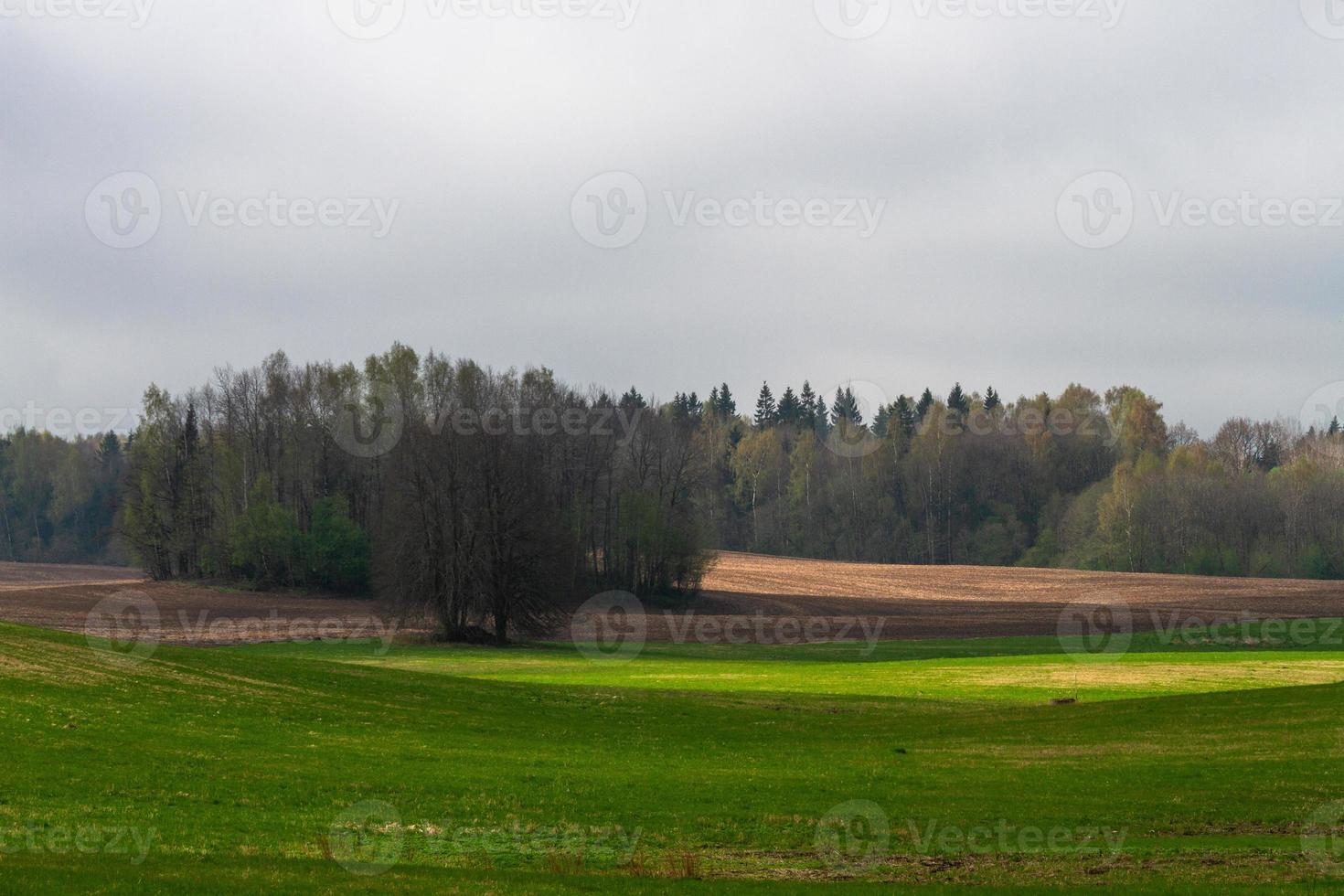 Latvian Springtime Landscapes photo