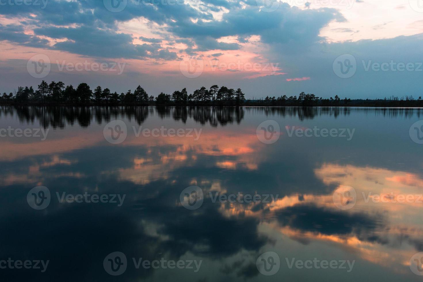 Swamp lake in Springtime photo