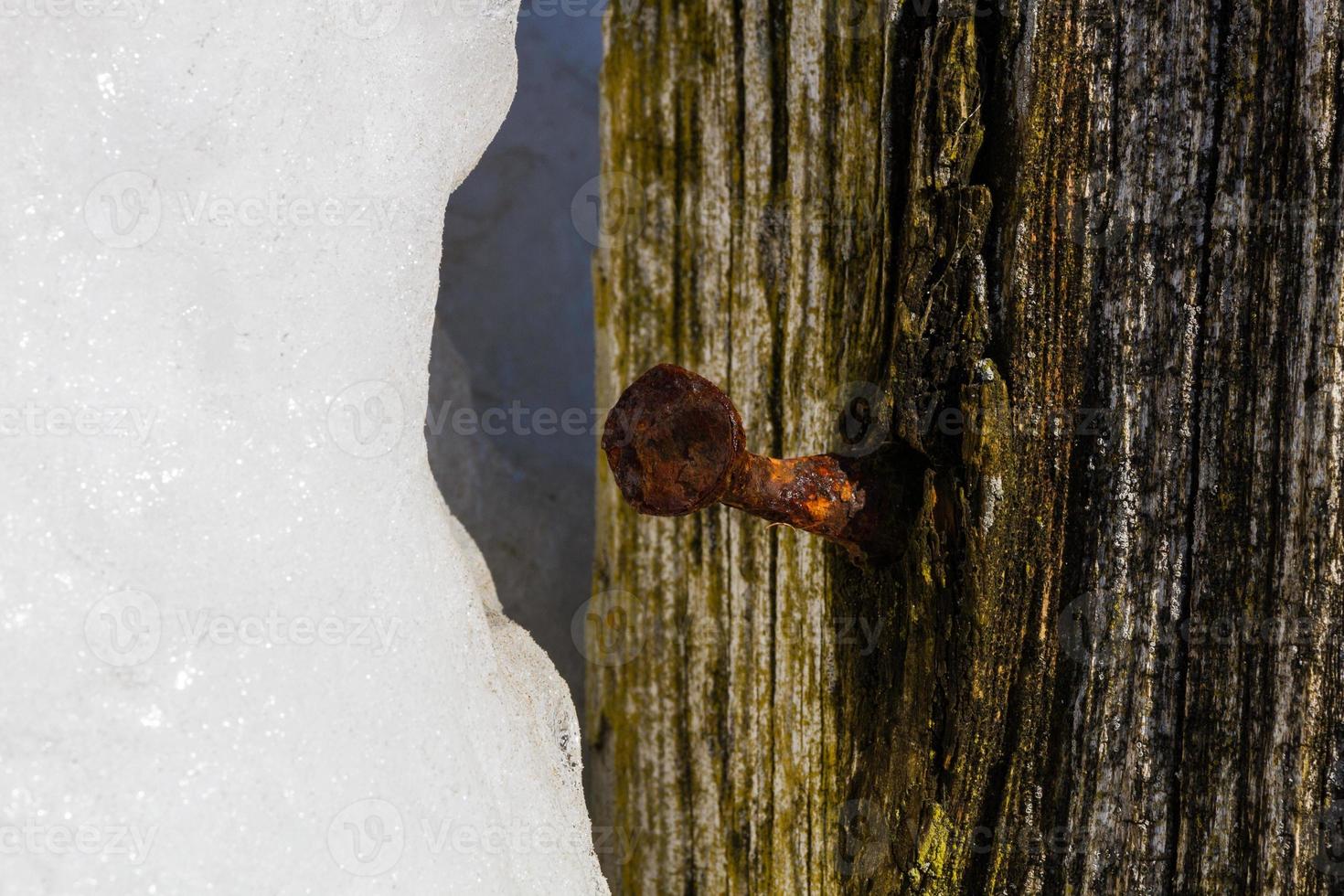 Ice Drifts in the Baltic Sea photo