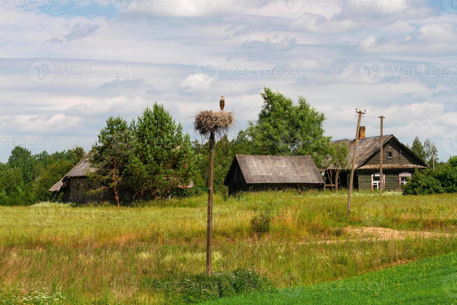 Latvian summer landscapes with hay rolls photo