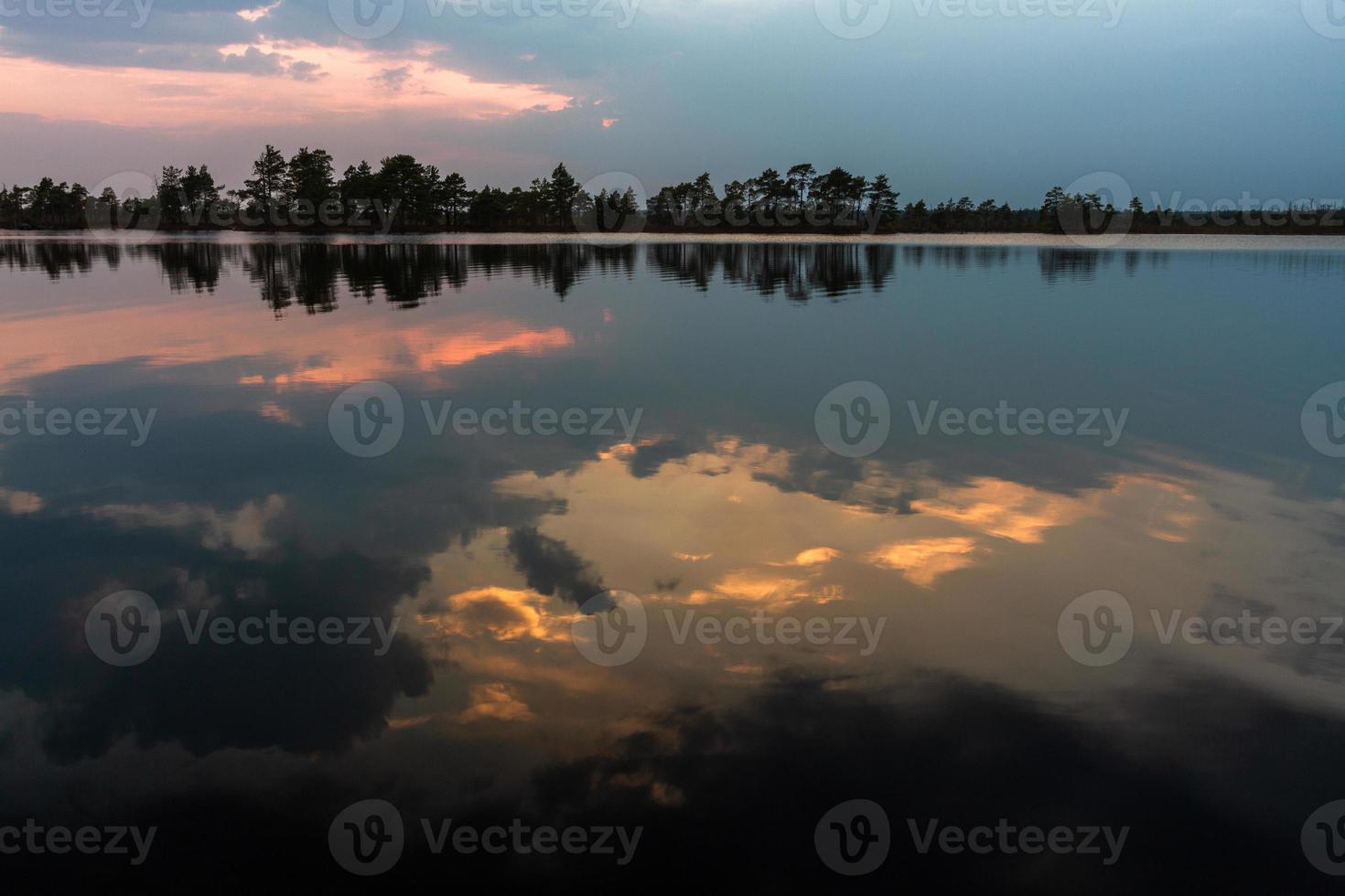 Swamp lake in Springtime photo