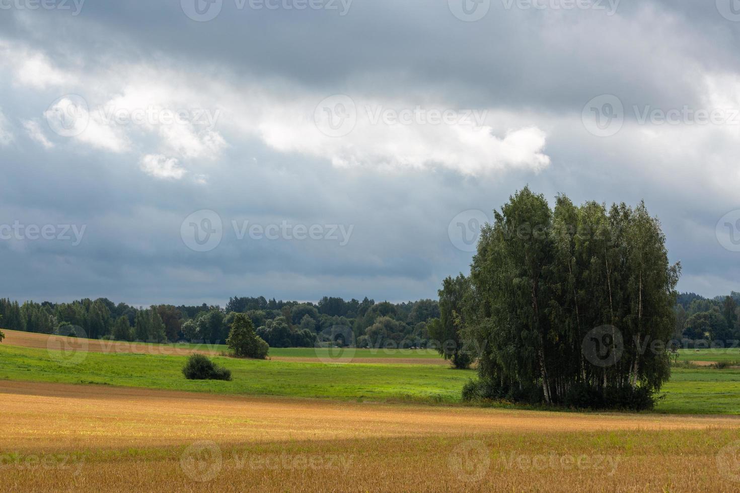 paisajes letones de verano con nubes foto