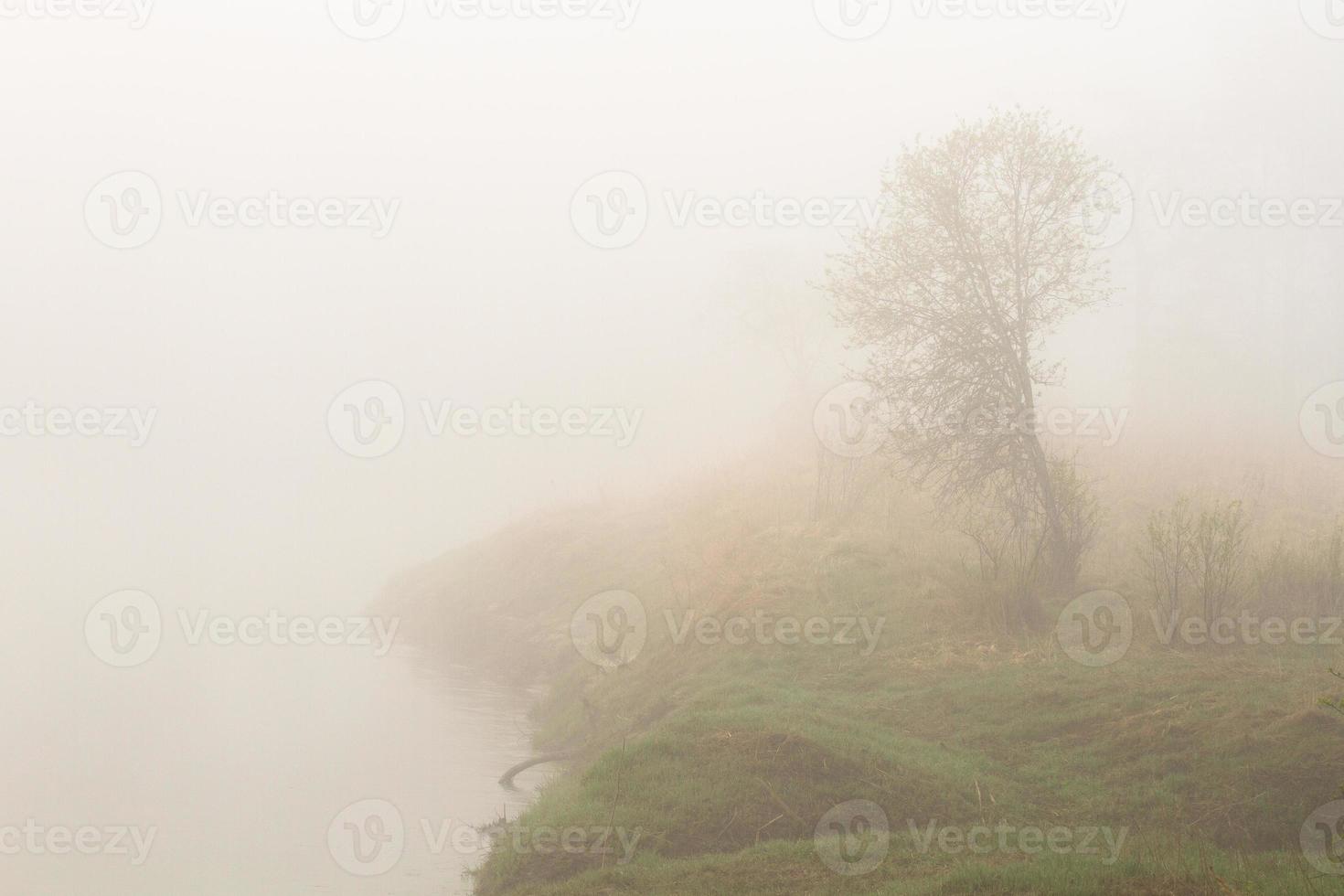 paisajes de primavera de letón foto