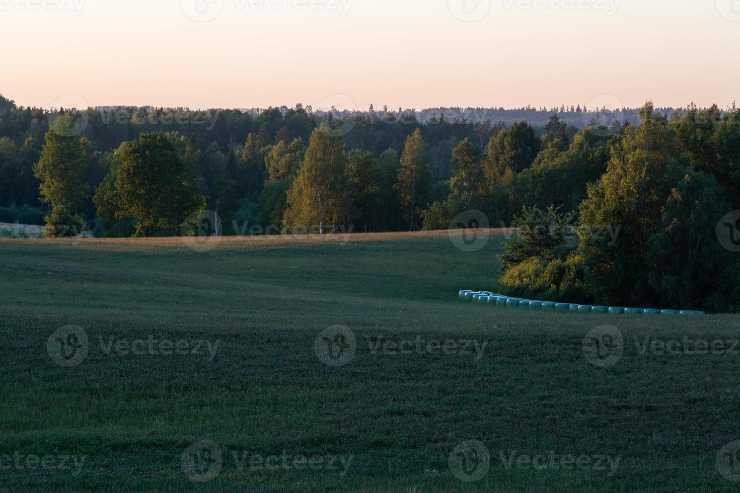 Latvian summer landscapes photo