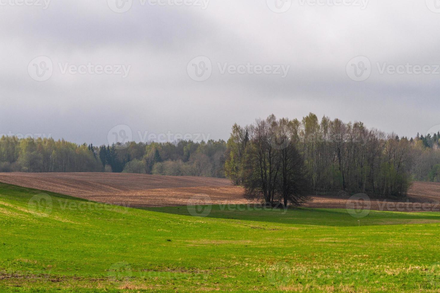 Latvian Springtime Landscapes photo