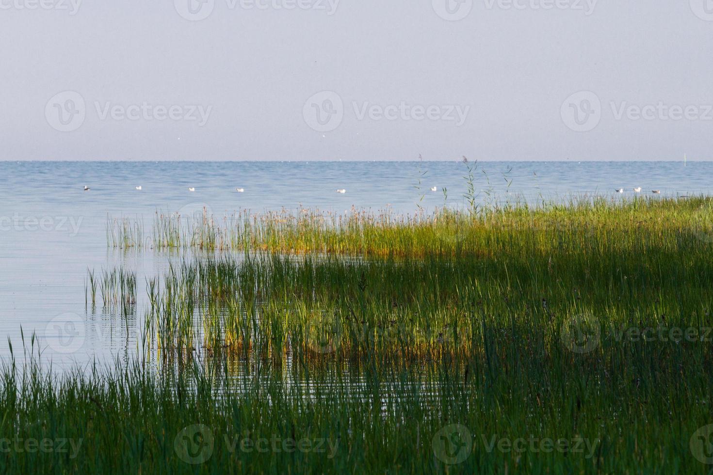 Summer Landscapes from Mmuhu Island photo