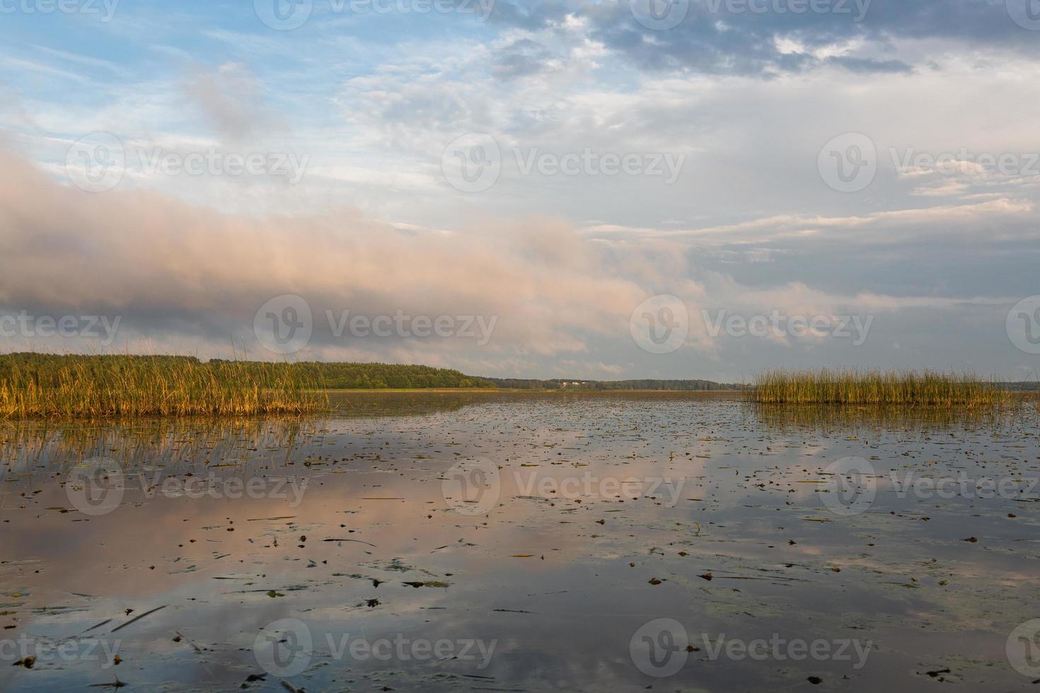 paisajes lacustres de letonia en verano foto
