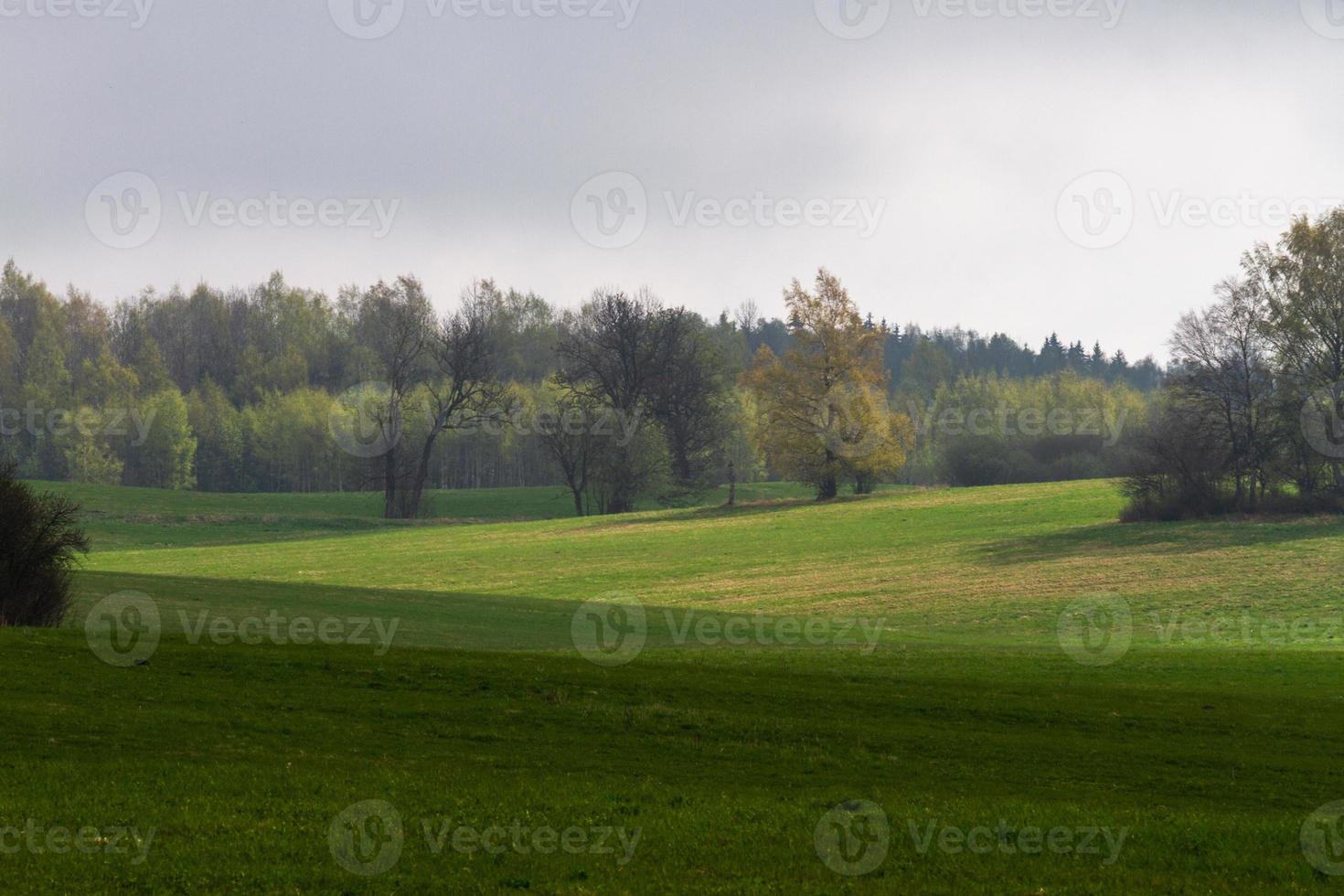 Latvian Springtime Landscapes photo