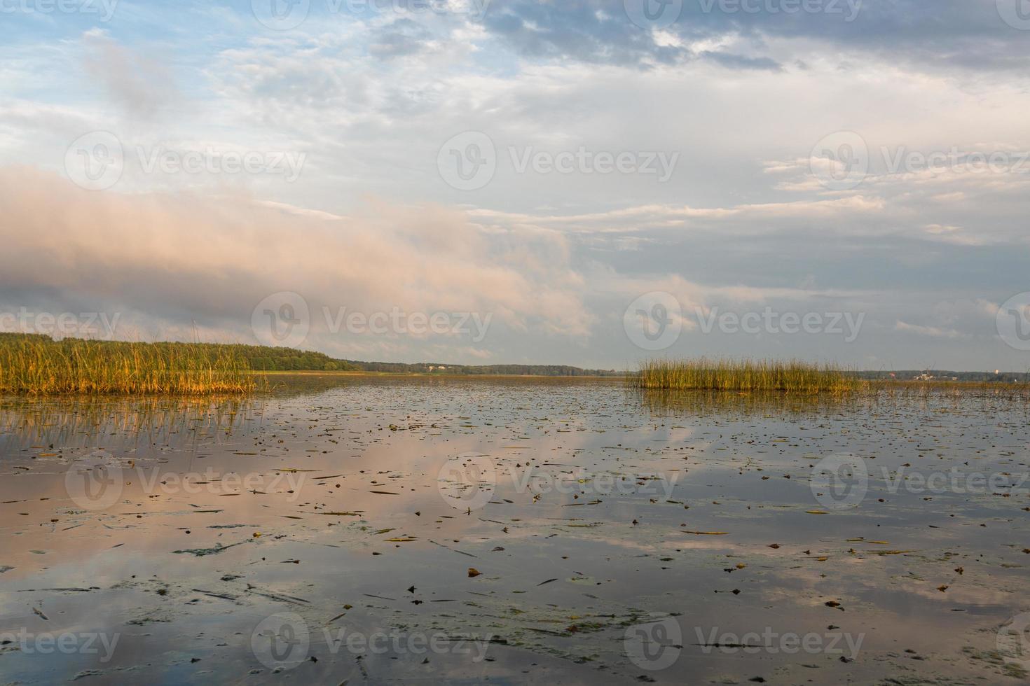 Lake Landscapes of Latvia in Summer photo