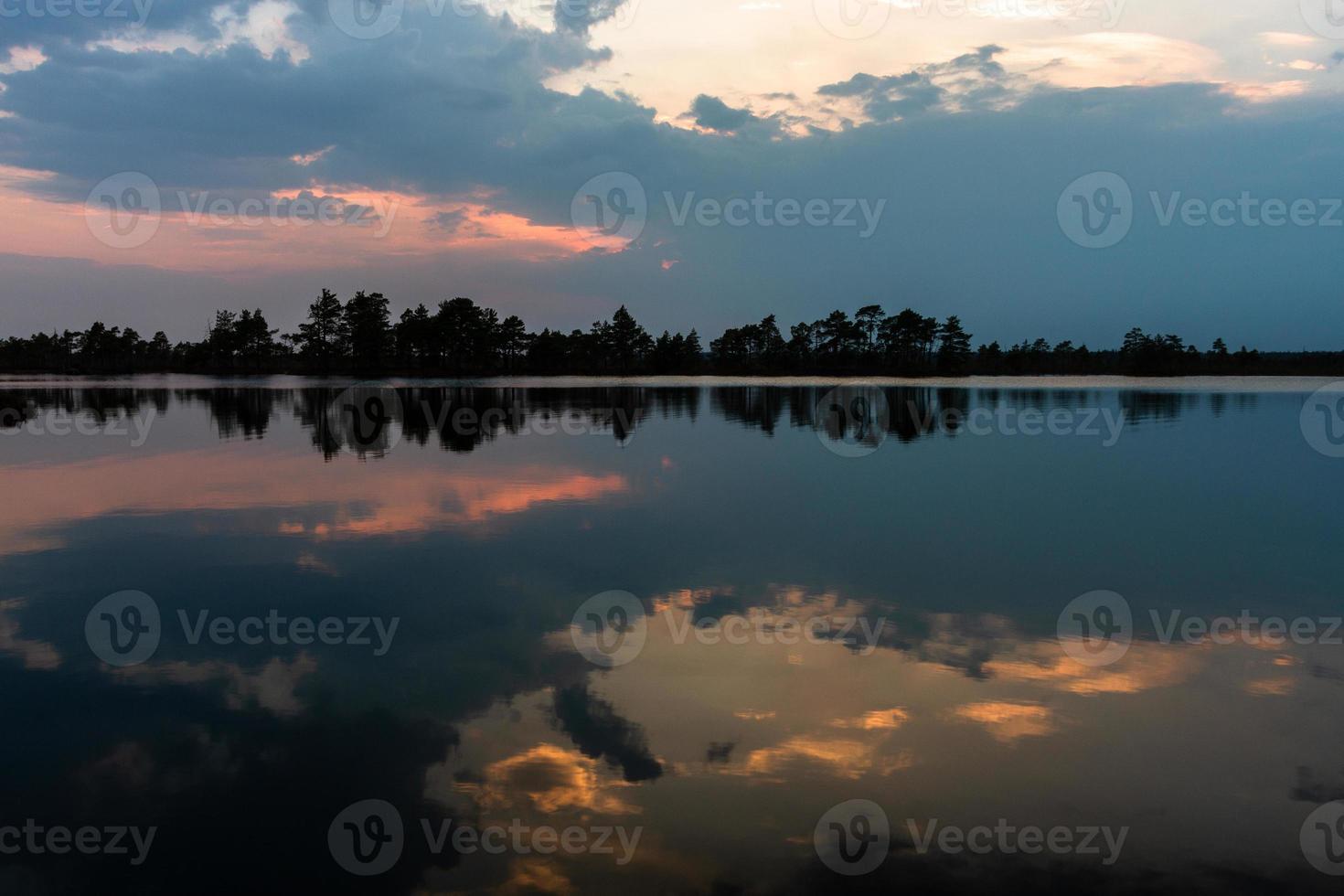 Swamp lake in Springtime photo