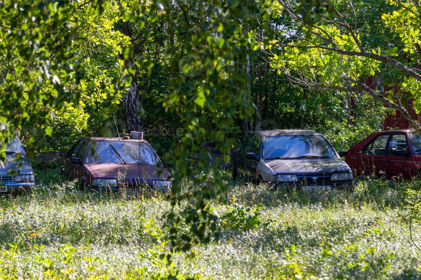 Summer Landscapes from Mmuhu Island photo