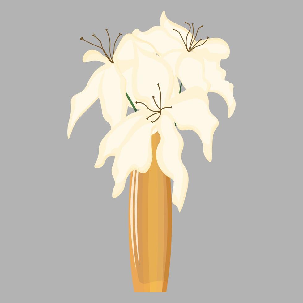 Vase with a bouquet of lilies.White lilies. Flower arrangement in a vase. White fragrant flowers. vector