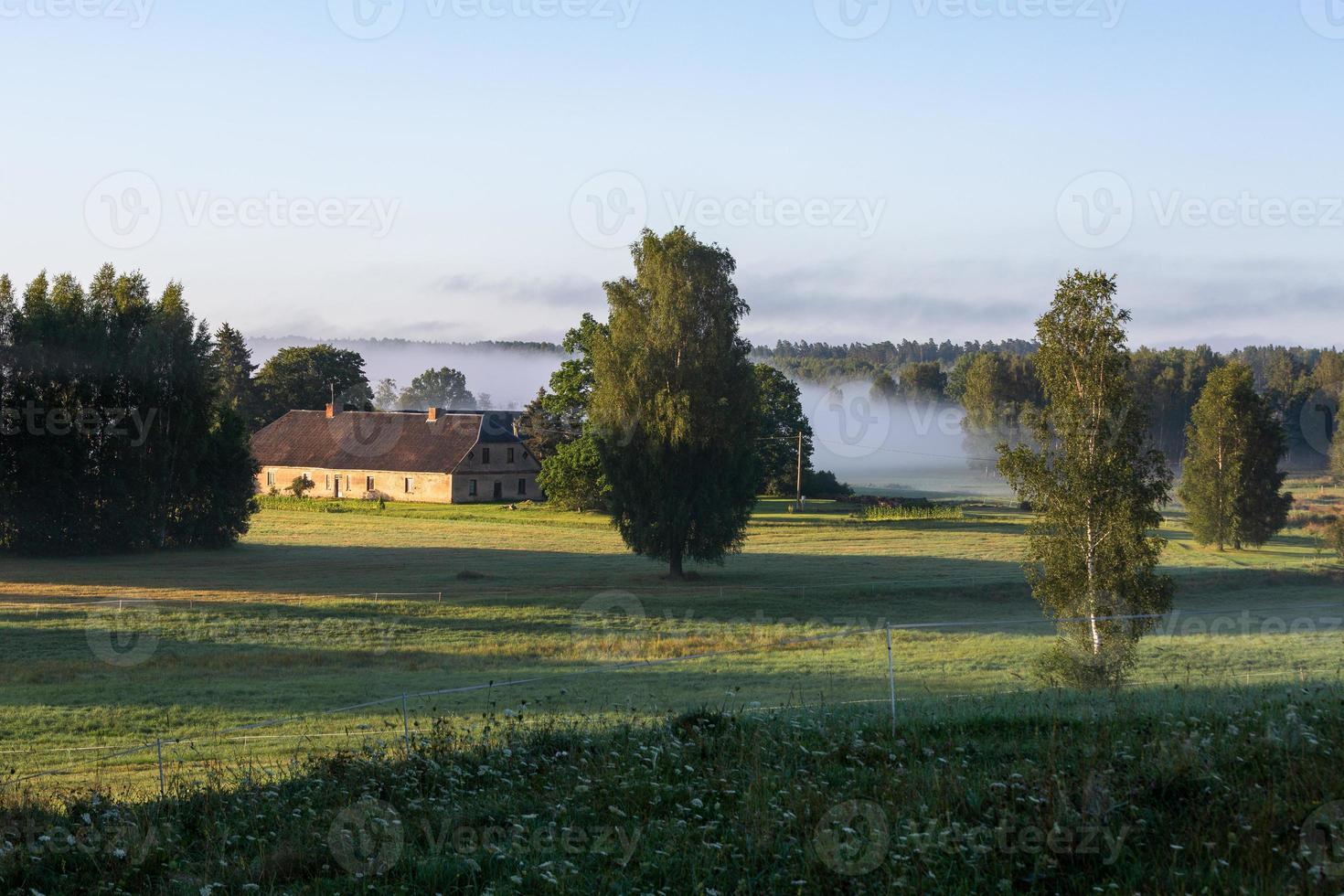 paisajes de verano de Letonia foto