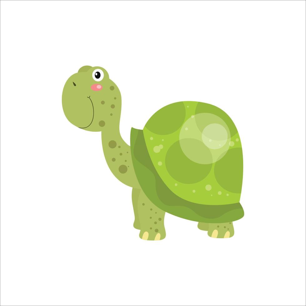 lindas ilustraciones de reptiles diseños gráficos, vectores, personajes y dibujos animados de tortugas y tortugas aisladas en fondo blanco vector