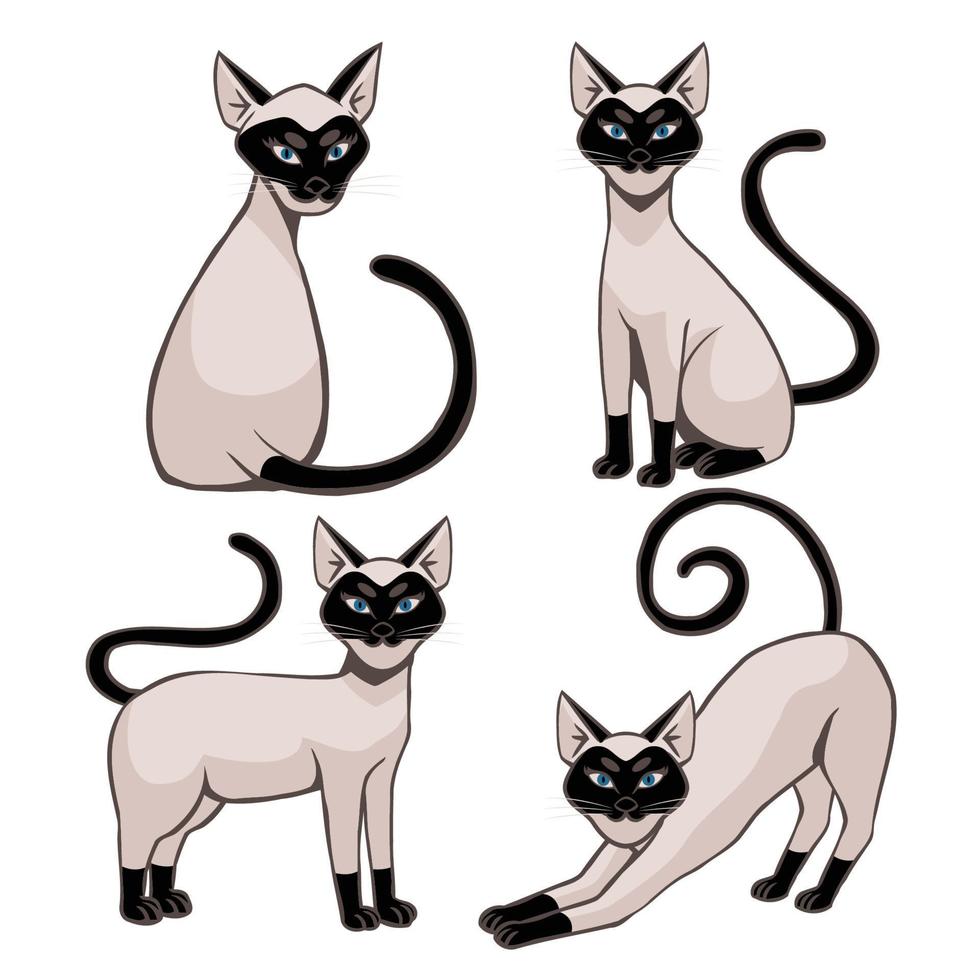 divertido gato siamés de dibujos animados con 4 poses diferentes vector