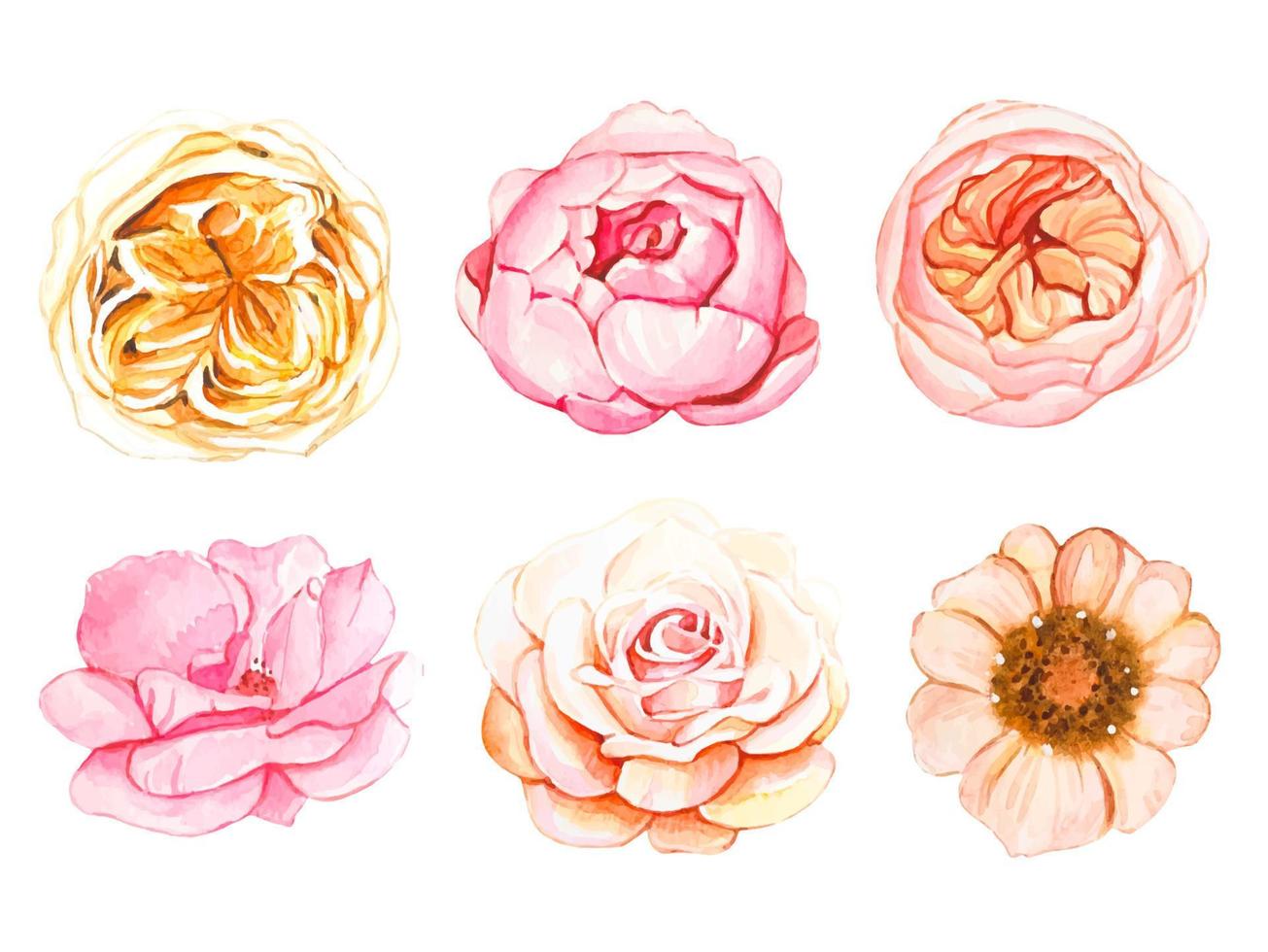 Set of flower buds, watercolor vector