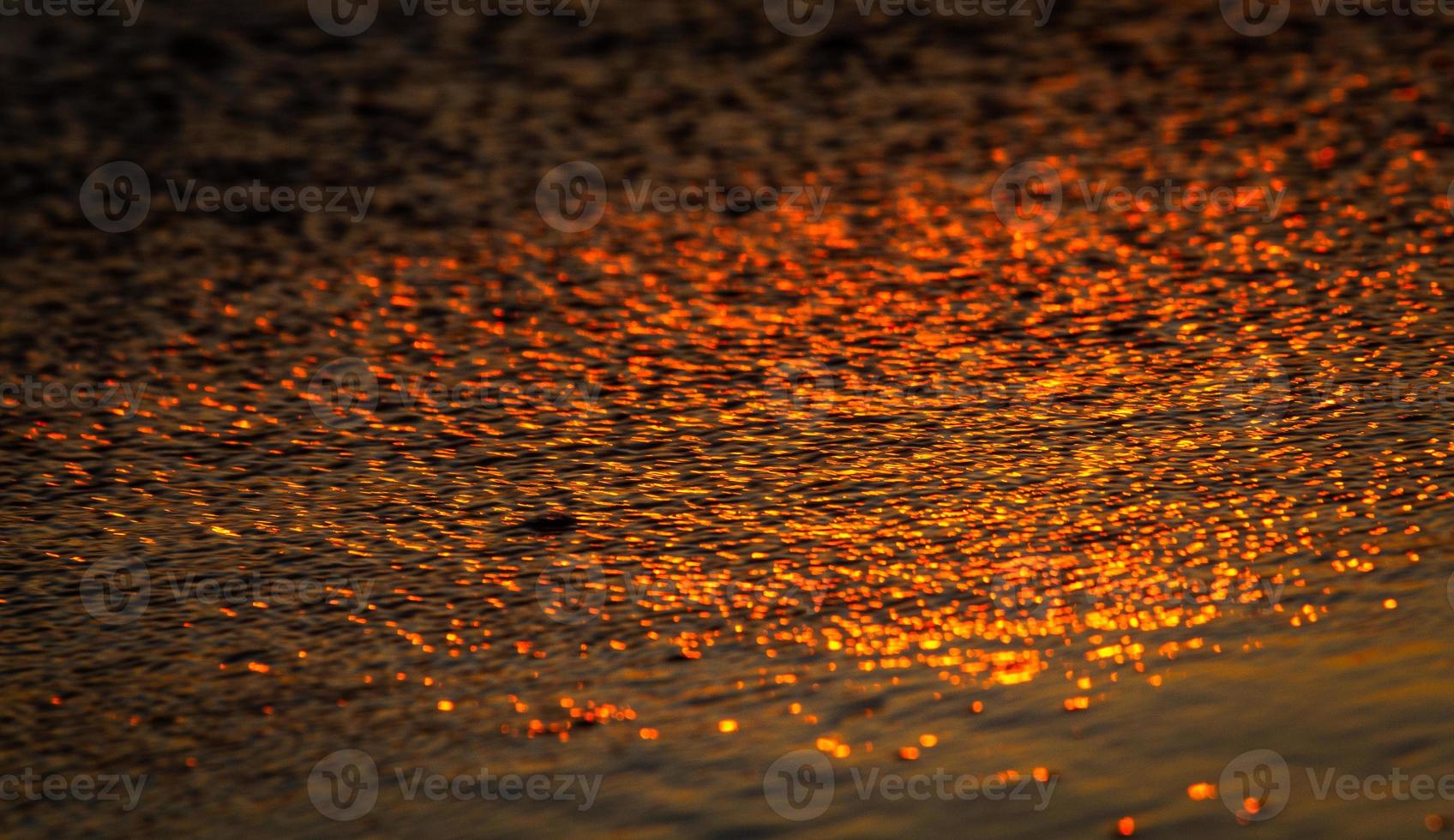 Baltic Sea Summer Landscapes photo